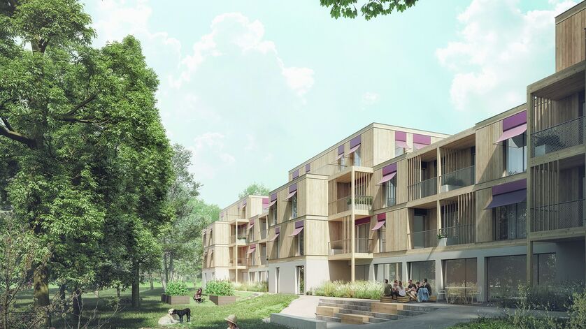 Visualisierung eines Wohnprojekts in Holz- und Holzhybrid-Bauweise